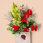 Photoroom 2026 07 24 122544