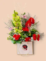 Photoroom 2026 07 24 122544