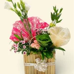 Photoroom 2026 07 24 130119
