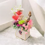 Photoroom 2026 07 24 132714