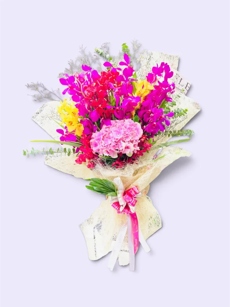 Photoroom 2026 07 24 132957