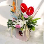 Photoroom 2026 07 26 172607