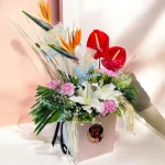 Photoroom 2026 07 26 173131