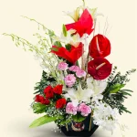 Photoroom 2026 07 26 175820