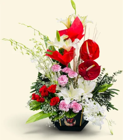 Photoroom 2026 07 26 175820
