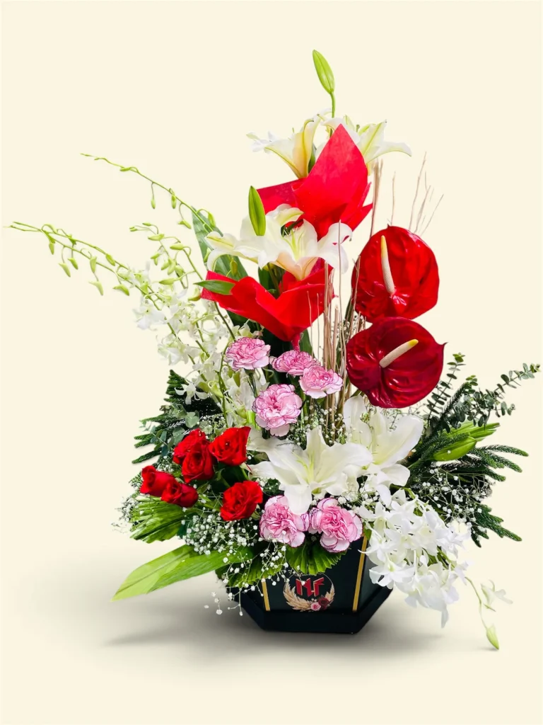 Photoroom 2026 07 26 175820