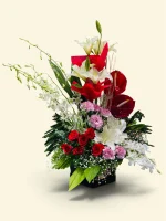 Photoroom 2026 07 26 175904