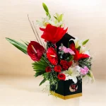 Photoroom 2026 07 26 183157