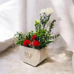 Photoroom 2026 07 27 113627
