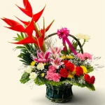 Photoroom 2026 07 27 130524