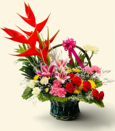 Photoroom 2026 07 27 130524
