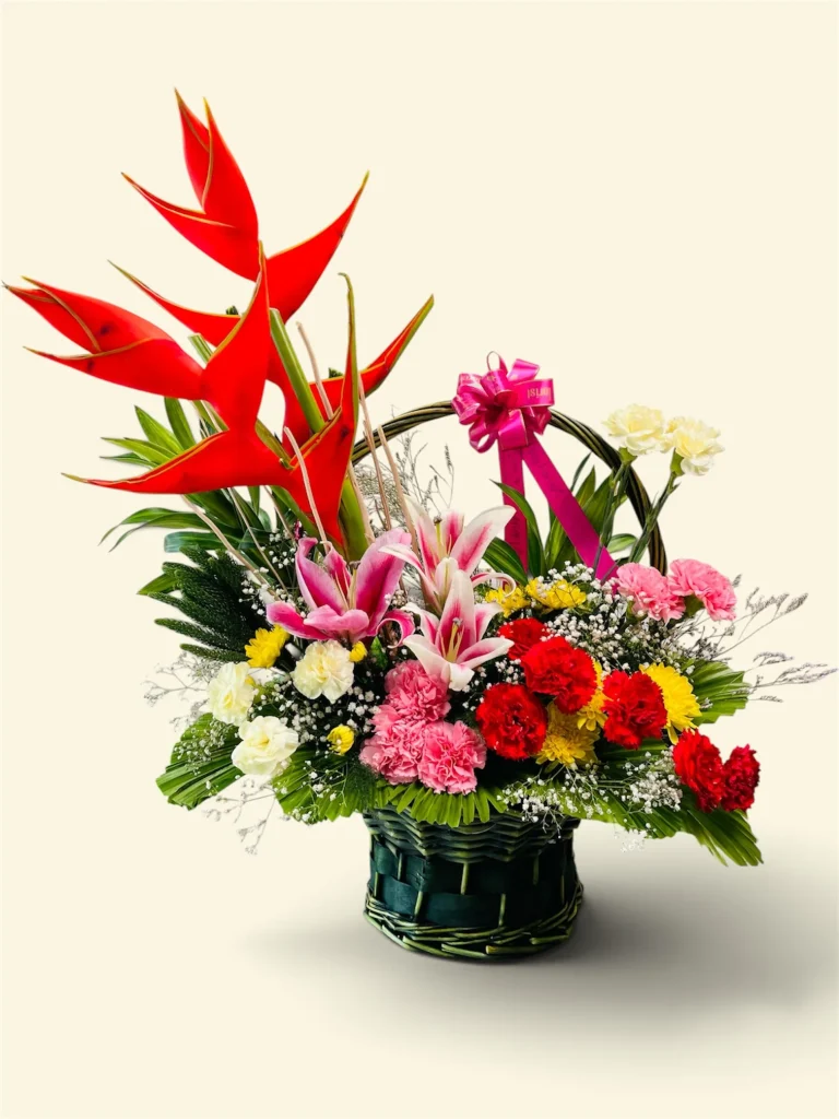 Photoroom 2026 07 27 130524