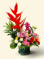 Photoroom 2026 07 27 130623