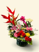 Photoroom 2026 07 27 130721