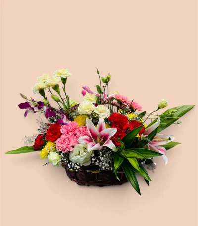 Photoroom 2026 07 27 134153