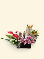 Photoroom 2026 07 27 192840