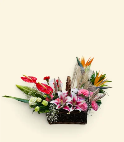Photoroom 2026 07 27 192840