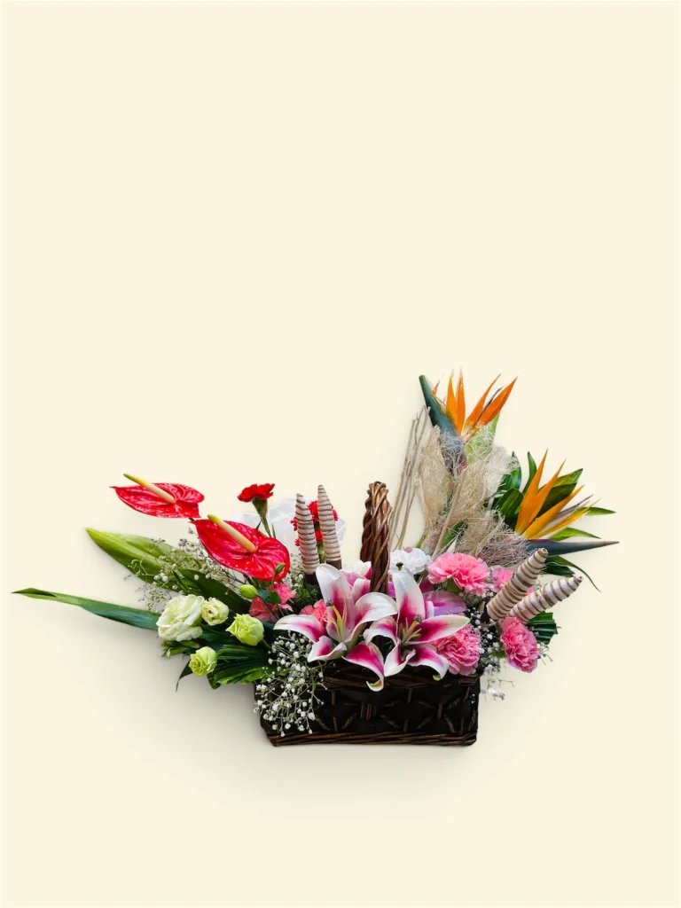 Photoroom 2026 07 27 192840