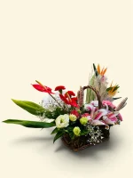 Photoroom 2026 07 27 193021