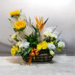 Photoroom 2026 07 27 204734