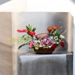 Photoroom 2026 07 27 212241