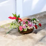 Photoroom 2026 07 27 212314