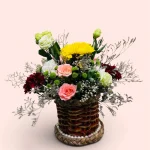 Photoroom 2026 07 28 115450
