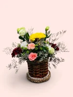 Photoroom 2026 07 28 115450