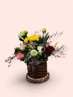Photoroom 2026 07 28 115605