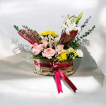 Photoroom 2026 07 28 164840