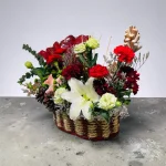 Photoroom 2026 07 28 173929