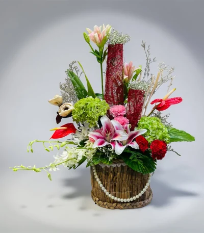 Photoroom 2026 07 28 182504
