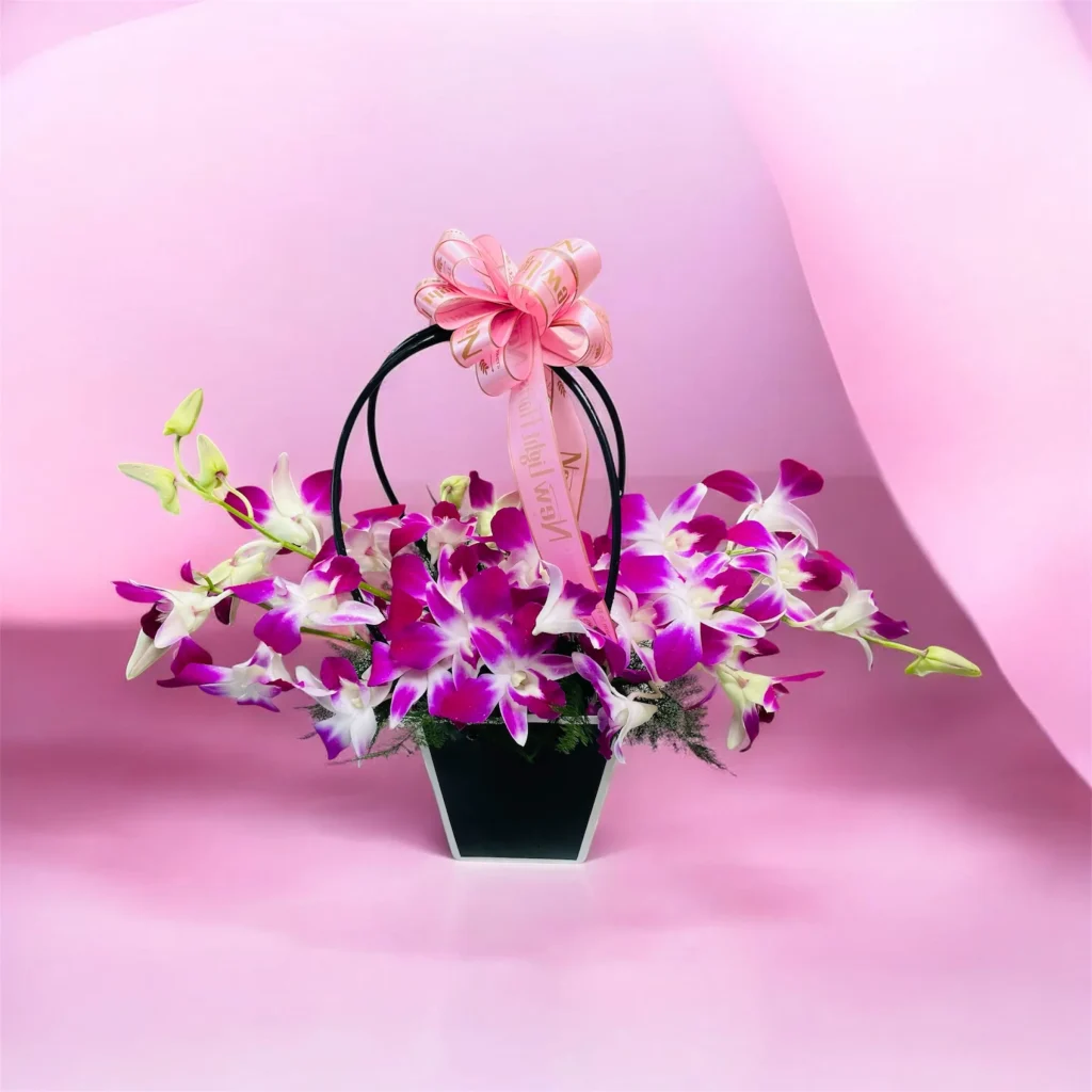 Photoroom 2026 07 31 172628