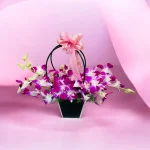 Photoroom 2026 07 31 172628