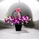 Photoroom 2026 07 31 172655