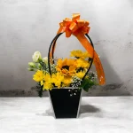 Photoroom 2026 07 31 180944