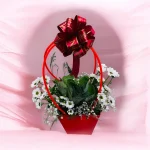 Photoroom 2026 07 31 182001