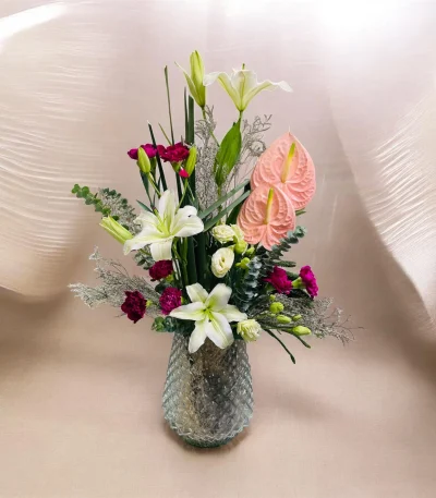 Photoroom 2026 08 02 184132