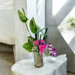 Photoroom 2026 08 04 210815