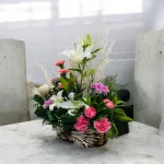 Photoroom 2026 08 24 135732