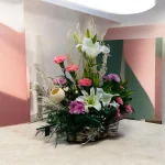 Photoroom 2026 08 24 135754